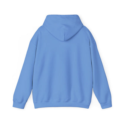 DLCMA Unisex Hooded Sweatshirt