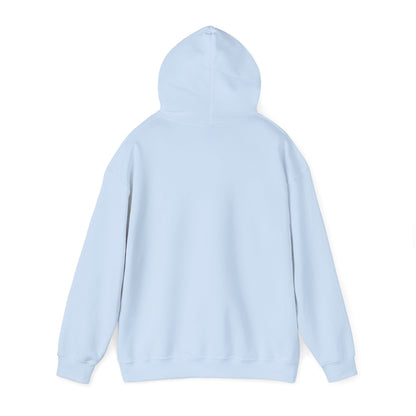 DLCMA Unisex Hooded Sweatshirt