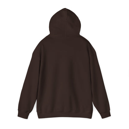 DLCMA Unisex Hooded Sweatshirt