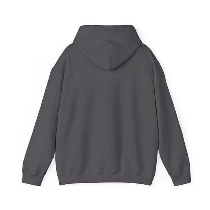 DLCMA Unisex Hooded Sweatshirt